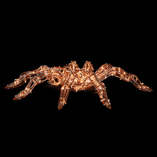 Spider (brown)