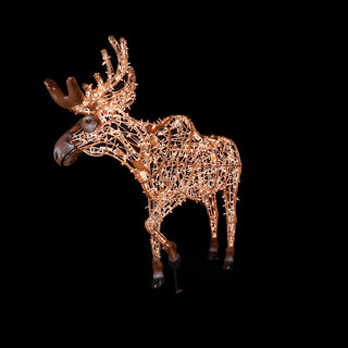 Mr. Moose