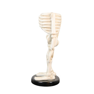 Skeleton Body