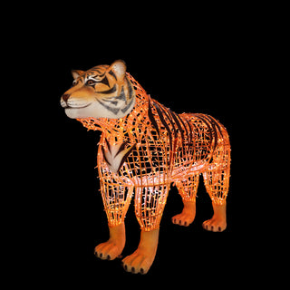 Tiger Standing