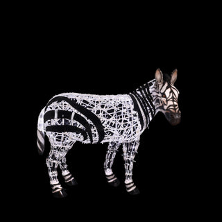 Zebra Baby