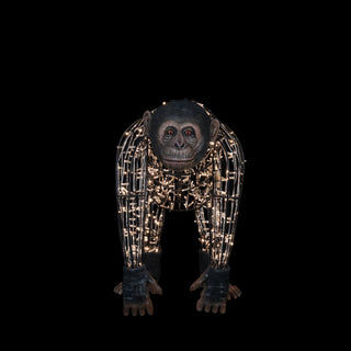 Monkey Dad