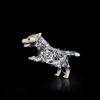 Wolf Lucky