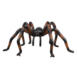 Copper Web Spider