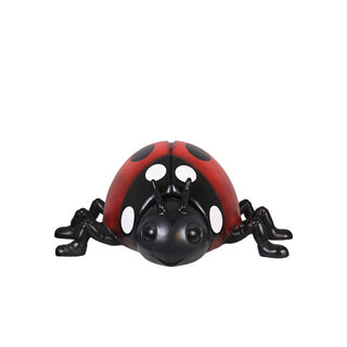 Lady bug