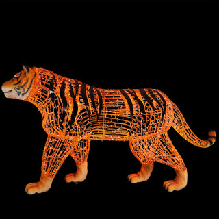 Tiger Walking