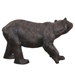 American Black Bear, Walking