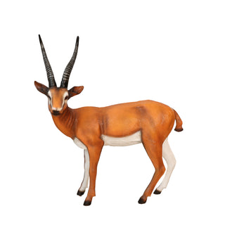 Gazelle