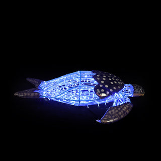 Turtle Swimming
