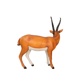 Gazelle