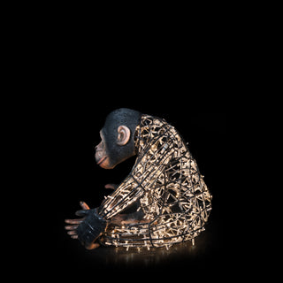 Monkey Mom