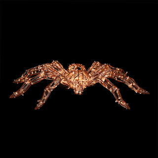 Spider (brown)