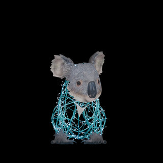 Koala Sitting