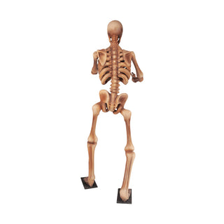 Skeleton 180 "Arms out"