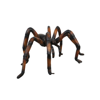 Copper Web Spider