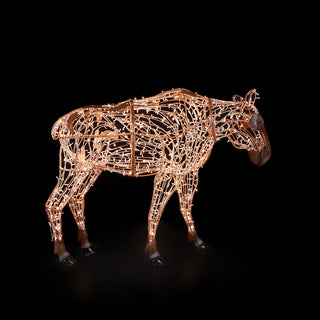 Mrs. Moose