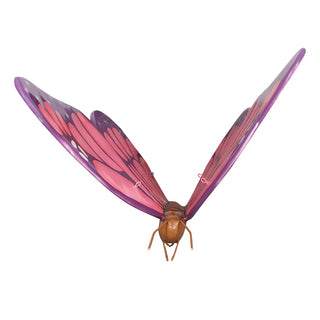 Big Pink Butterfly