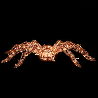 Spider (brown)