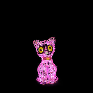 Voodoo Cat