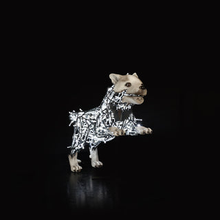 Wolf Lucky