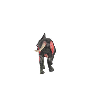 The Cursed Cat